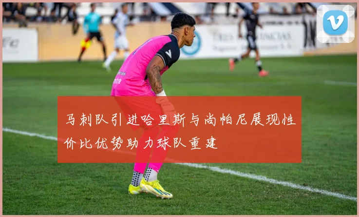 马刺队引进哈里斯与尚帕尼展现性价比优势助力球队重建