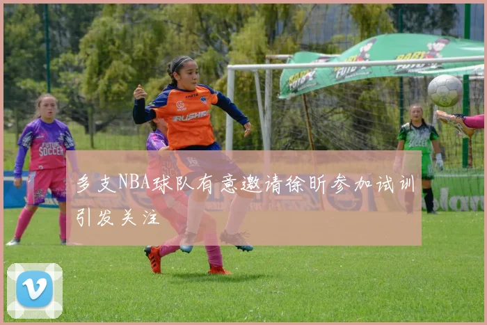 多支NBA球队有意邀请徐昕参加试训引发关注